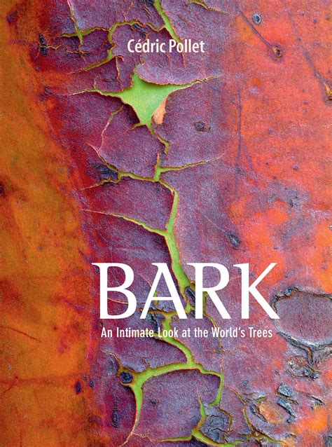 Bark An Intimate Look At The Worlds Trees Publication Montier