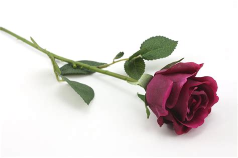Rose Stem Half Bloom Burgundy 54cm Real Touch Floralistic