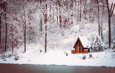 Snowy Cabin In The Woods By Jedd Sparrow Photo