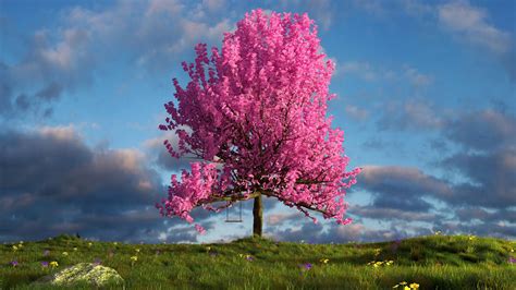 Pink Tree 3840 × 2160 Wallpapers