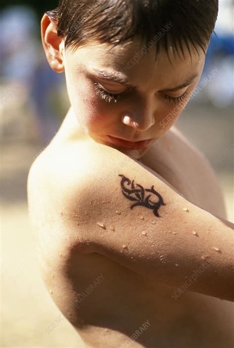 As a start, a carnation is a good reference. Boy with henna tattoo - Stock Image - P700/0284 - Science ...