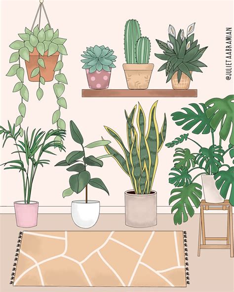Plants Illustration Plant Art Plant Drawing Plant Wallpaper