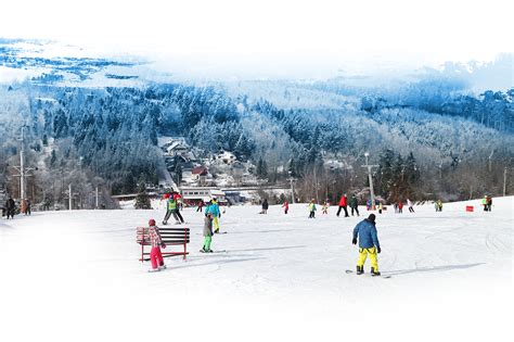 Aktualizuj firemní údaje při zájmu o plnohodnotný firemní zápis, kontaktujte obchodní oddělení czech trade international. SKI AREÁL - Vaňkův kopec