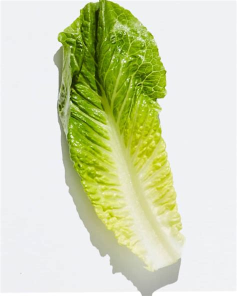 Types Of Lettuce A Visual Guide To Salad Greens The Kitchn