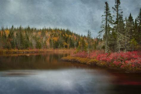 Autumn Lake Landscape Royalty Free Stock Photo