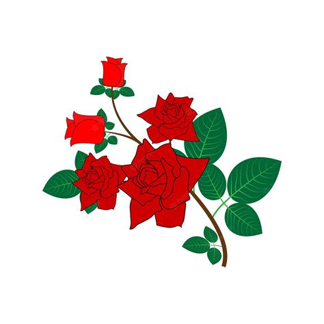 Premium Vector Rose Flower Floral Graphics Vector Illustration