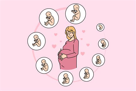 Mujer Embarazada Toca El Vientre Lista Para Futura Maternidad