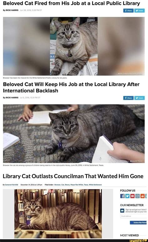 Beloved Cat Fired From His Job At A Local Public Library By RICKI