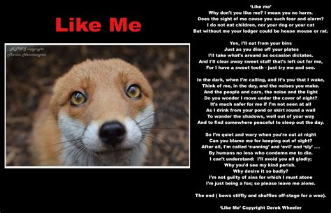 Pudding The Fox This Poem Was Sent Into Us From Derek Wheeler About