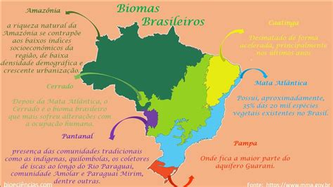 Mapa Mental Sobre Os Biomas Brasileiros MAPA META The Best Porn Website