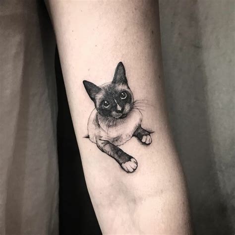 Pin By Rachel Lol On Tatuagem Cat Tattoo Designs Siamese Cat Tattoos