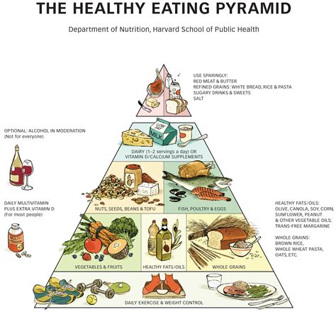 It shows the five core food groups according to how much each contributes to a balanced diet. Healthy Eating Pyramid | The Nutrition Source | Harvard T ...