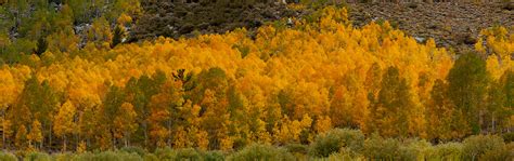 Fall Colors Mike Chowlas Photo Blog