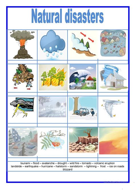 Picture Dictionary Natural Disasters English Esl Worksheets