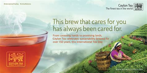 International Tea Day Ceylon Tea Celebrates Sustainability Brewed For