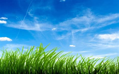 Free Download Nature Wallpapers Grass Field Sky Wallpaper 1920x1200