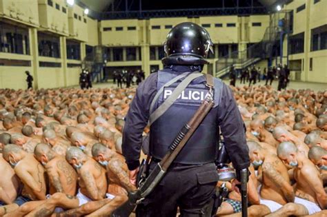Bukele Encarcela En Misma Prisión A Integrantes De Pandillas Rivales