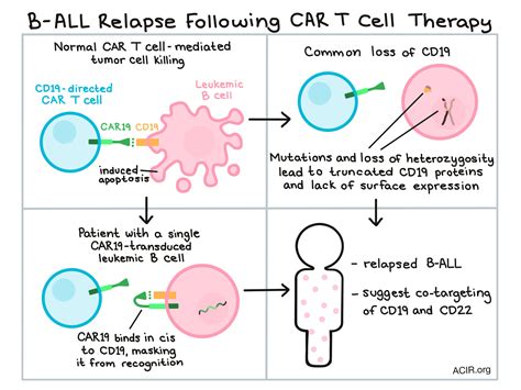 Mechanism Of Action Of Car T Cell Therapy Patient S T Cells Are My