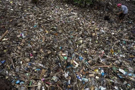 Identifikasi Merek Sampah Plastik Di Kawasan Konservasi Mangrove