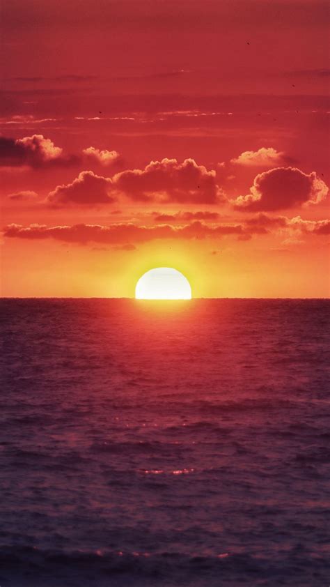 Download Wallpaper 938x1668 Sun Sunset Sea Horizon Clouds Waves