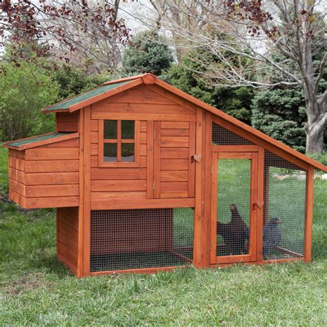 Boomer And George Deluxe 4 Chicken Coop With Run Chicken Coops At Hayneedle