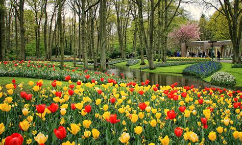 Fonds Decran Pays Bas Parc Tulipes Étang Keukenhof Lisse Nature