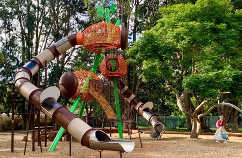 Playgrounds Parks Splashpads Skateparks Auckland For Kids