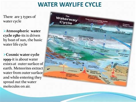 5 Paragraph Essay On The Water Cycle Advantage Computersnet