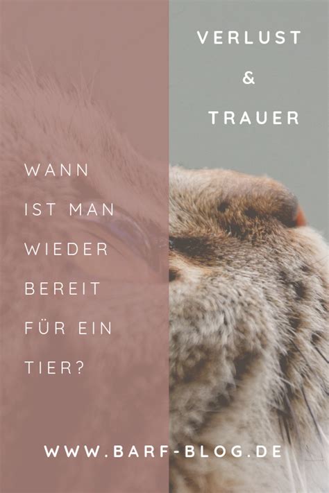 Wann ist der richtige zeitpunkt für ein zweites kind? Verlust und Trauer: Wann ist man wieder bereit für ein ...