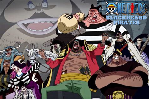 one piece all members of blackbeard pirates ranked beebom
