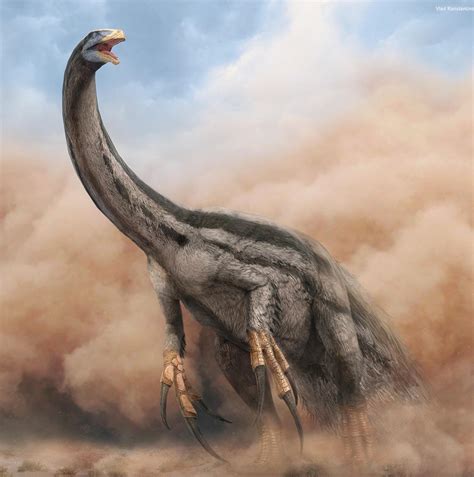 Therizinosaurus A Large 16 Foot Tall Herbivorous Dinosaur That Lived