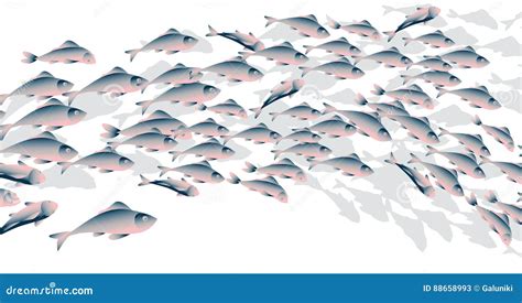 School Of Fish Vector Illustration For Header Stock Vector