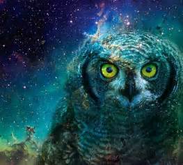 Blue Galaxy And Owl Image 115233 On