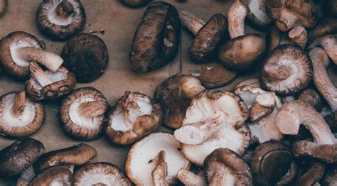 5 Health Benefits Of Eating Shiitake Mushrooms