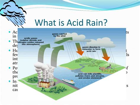 Ppt Acid Rain By Helly Shah Powerpoint Presentation Free Download