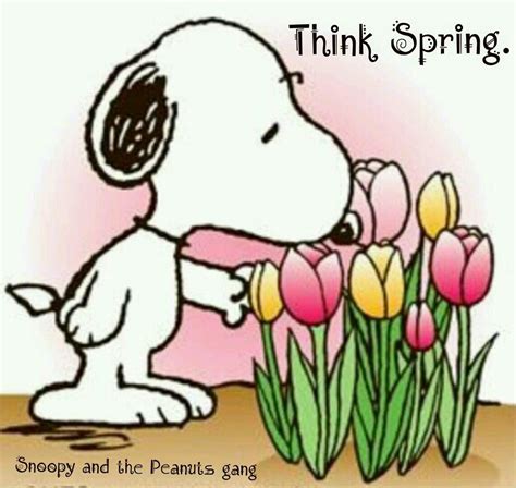 Snoopy Think Spring Pinteres