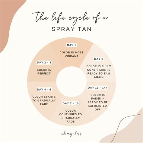 Airbrush Spray Tan Airbrush Tanning Sunless Tanning Spray Tan At