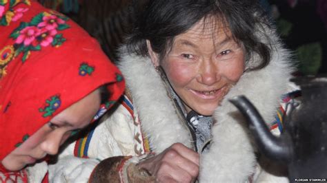 Bbc News Reindeer Herders In The Russian Arctic
