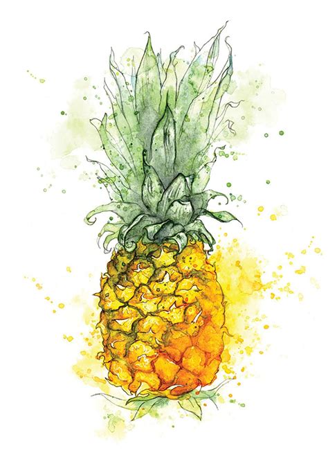 Giclee Fine Art Print Pineapple Watercolour Painting Watercolor