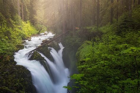 Hd Wallpaper Forest River Waterfall Washington Olympic National