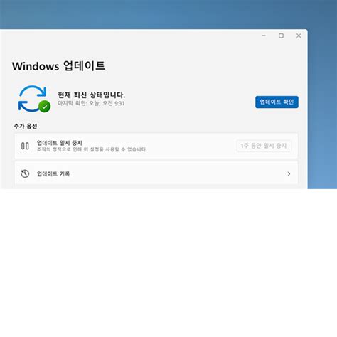 Windows 11 팁과 요령 Microsoft