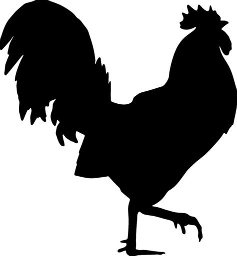 Rooster Vector Silhouette Free At