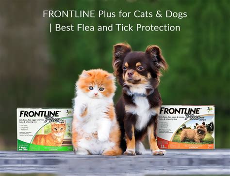 Frontline Plus For Cats And Dogs Best Flea And Tick Protection