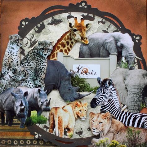 Collage Of Animal Shots From The Zoo Scrapbook Layouts Pinterest