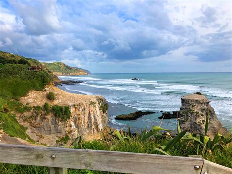 Muriwai Gannet Colony Attractions Things To Do Best Bits