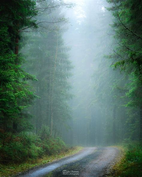 🇫🇮 Misty Forest Road Finland By Jari Penttinen Cr🌲🌫 Misty Forest