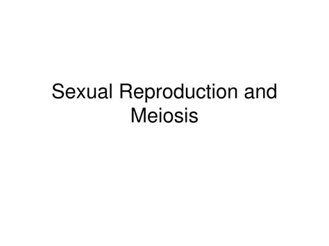 Ppt Sexual Reproduction And Meiosis Powerpoint Presentation Free Download Id 3307805