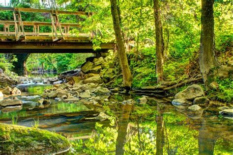 Bridging the Gap... - 8 x 12 Print - Fine Art Nature Photography