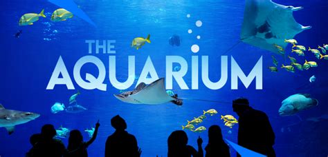 Georgia Aquarium Largest Aquarium In The United States