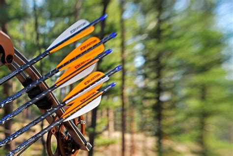 How To Choose The Best Arrow For Bowhunting Success Hunting Arrows
